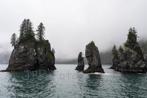 Kenai Fjords Nationalpark - Alaska