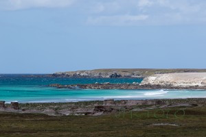 Am Strand 1 - Falklands