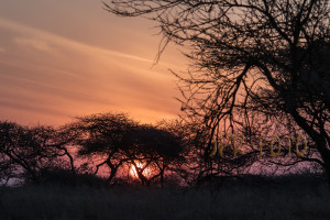 Sonnenuntergang - Tansania