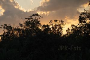 Borneo - Indonesien