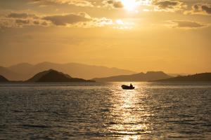 Vor Kalong Island - Indonesien