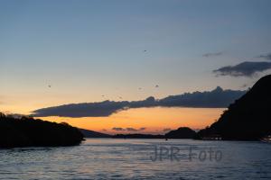 Vor Kalong Island - Indonesien