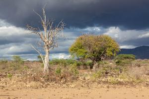 tsavo-west NP - Kenia