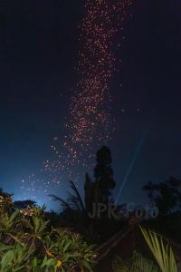Borobudor - Indonesien