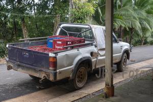 Lastesel - Costa Rica