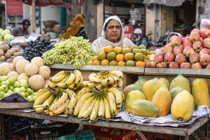 Alles frisch Udaipur - Indien
