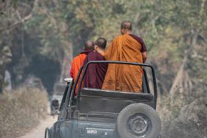 Pirschfahrt Kaziranga - Indien