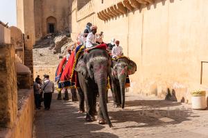 Amber Fort Jaipur - Indien