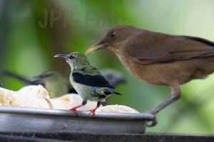 Kleine haben auch Hunger - Costa Rica